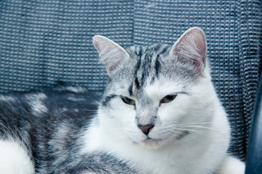 Similar image 22127594