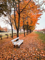 Similar image 22128891