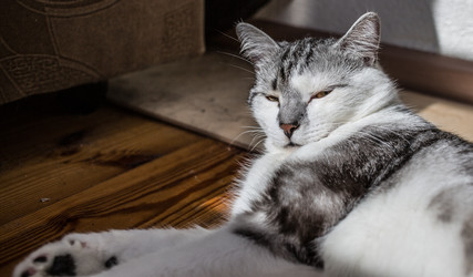 Similar image 22127480