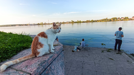 Similar image 22111085