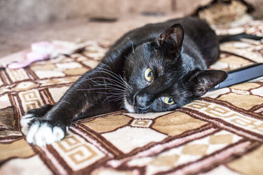 Similar image 22127481