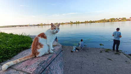 Similar image 22127915