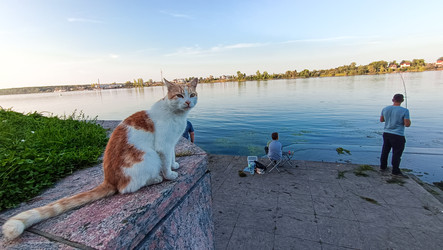 Similar image 22111099