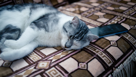 Similar image 22127486