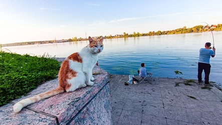 Similar image 22111103