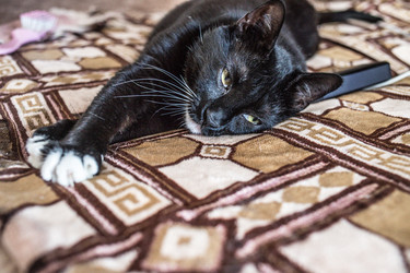 Similar image 22127596