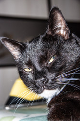 Similar image 22127917