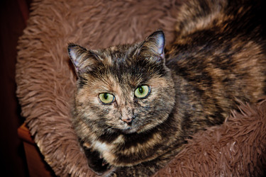 Similar image 22127919