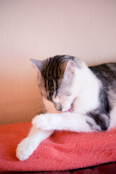 Similar image 22127920