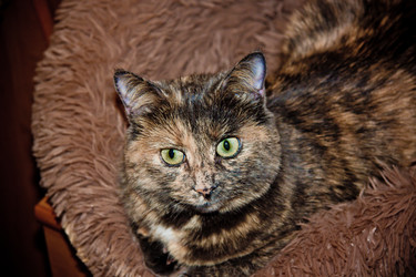 Similar image 22127489