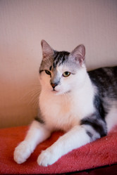 Similar image 22127921