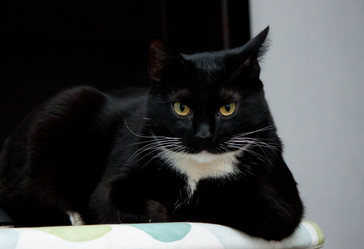 Similar image 22127922