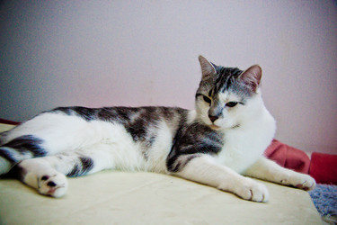 Similar image 22127491