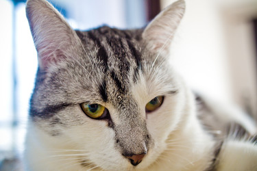 Similar image 22127492