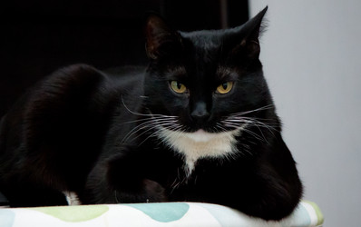 Similar image 22127494