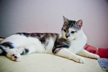 Similar image 22127496