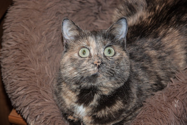 Similar image 22127497