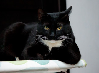 Similar image 22127498