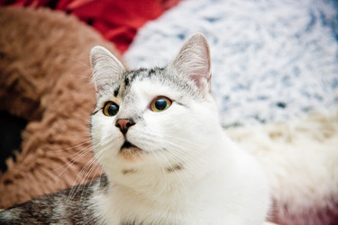 Similar image 22127501