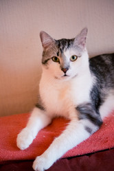 Similar image 22127504