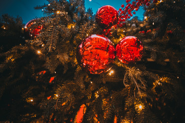 Similar image 22127505