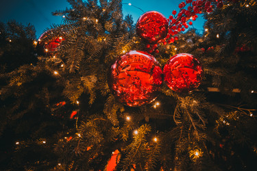 Similar image 22127598