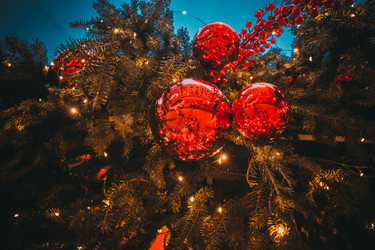 Similar image 22127599