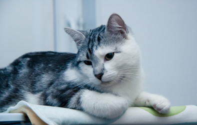 Similar image 22127601