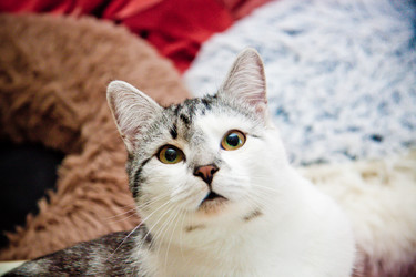 Similar image 22127617