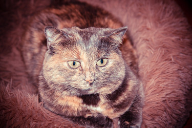 Similar image 22127619