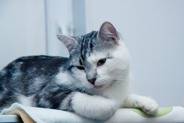 Similar image 22127622