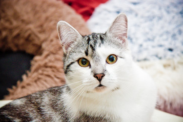 Similar image 22127625