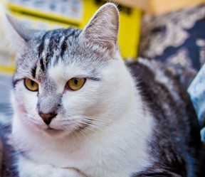 Similar image 22127627