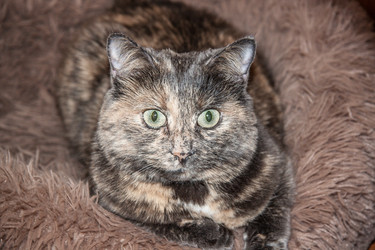 Similar image 22127629