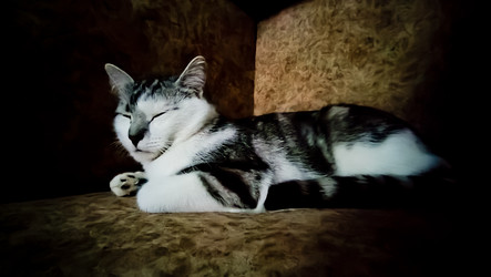 Similar image 22127668