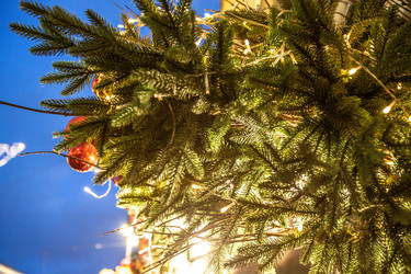 Similar image 22127669