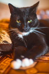 Similar image 22127673