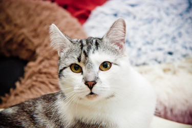 Similar image 22127675