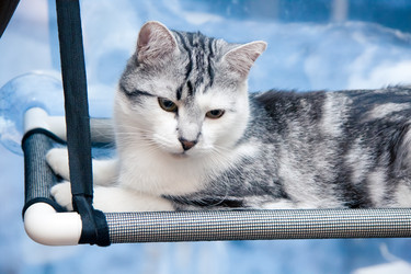 Similar image 22127676