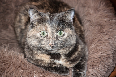 Similar image 22127602