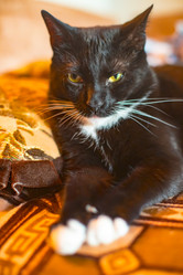 Similar image 22127604