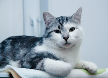 Similar image 22127605