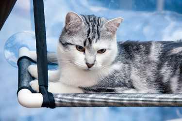 Similar image 22127631