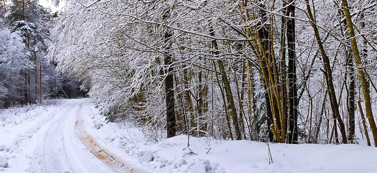 Similar image 22127632