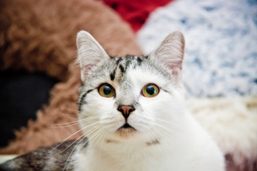 Similar image 22127633