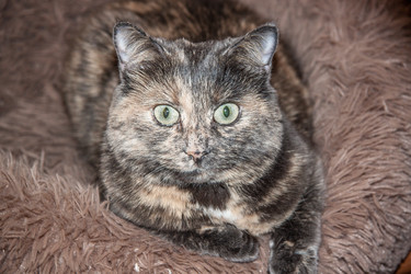 Similar image 22127635