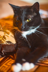 Similar image 22127636