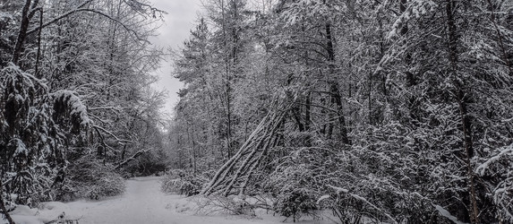 Similar image 22127637