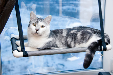 Similar image 22127639