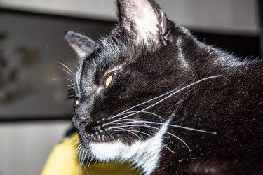 Similar image 22127641